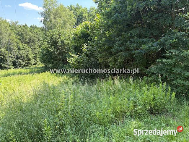 Działka Mszana 3550m2 Sprzedaż