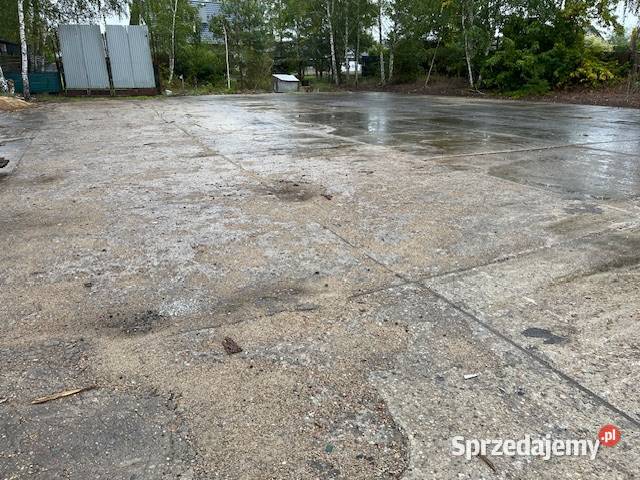 Wynajmę plac utwardzony 2500m2 Olszewnica Stara