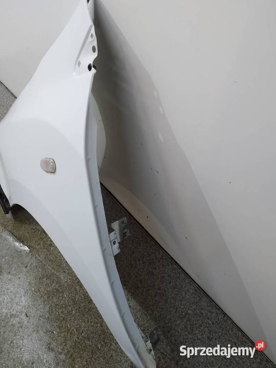 BŁOTNIK LEWY PRZÓD D389 Dacia Dokker I 2012 świętokrzyskie sprzedam