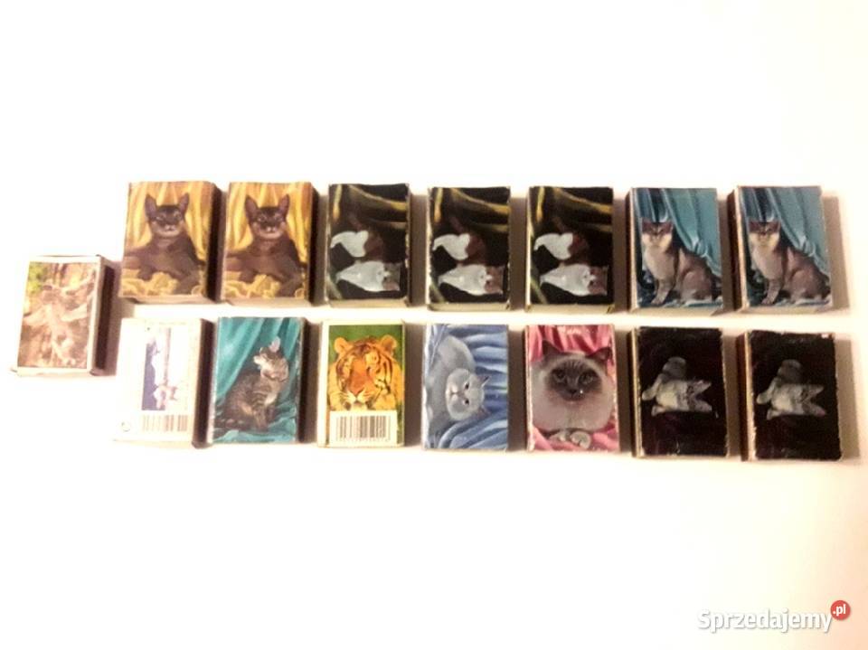 Zapałki pudełka zapałek dziewczyny i koty Piotrków Trybunalski