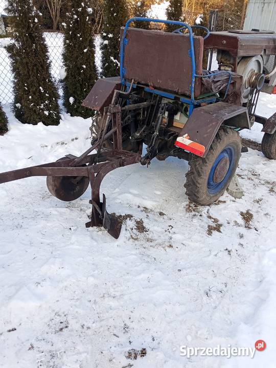 Sam esiok papaj Kocmyrzów