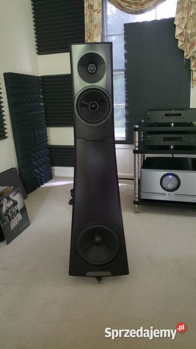YG Acoustics Hailey 12 Pozostałe kujawsko-pomorskie Bydgoszcz