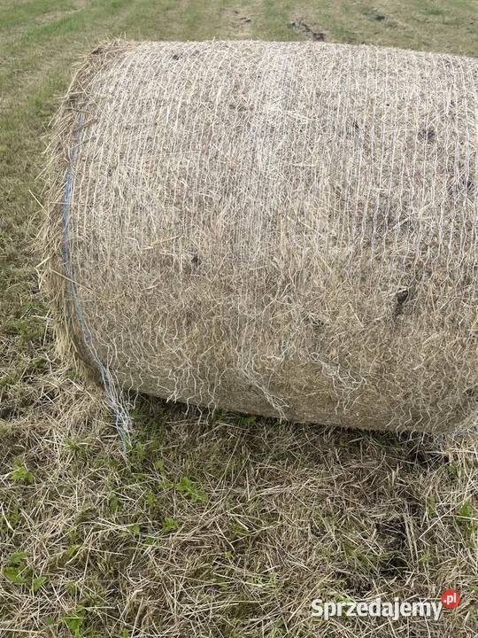Siano w balotach 120x120 Pozostałe Mojesz sprzedam