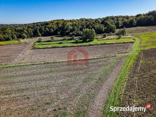 Ogłoszenie działka 950m2 Wielopole Skrzyńskie 35m
