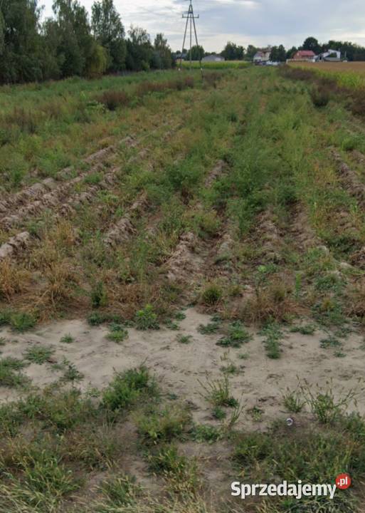 Sprzedam dzialke 3000m2 Kaski