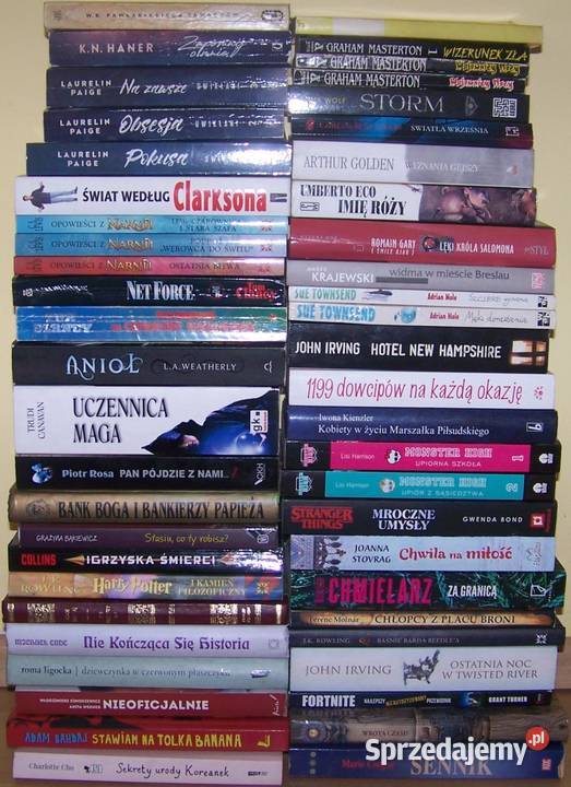 102 różne książki Pozostałe Szczecin