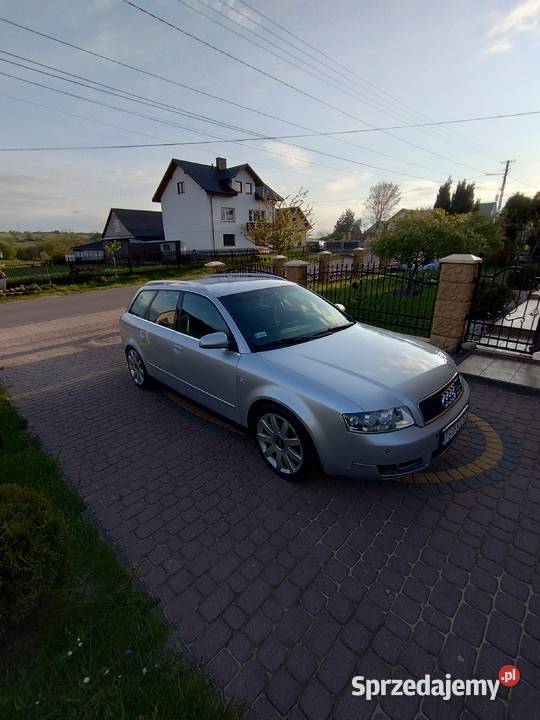 Audi A4 19 Tdi 130 Rzepin Drugi