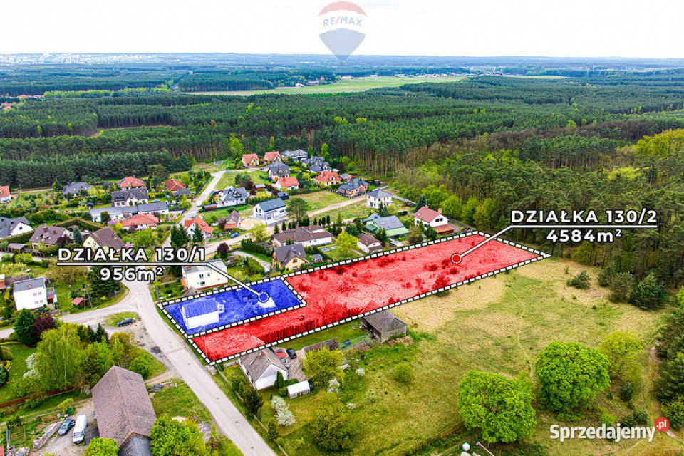 Potencjał inwestycyjny łącznie 5540 m Łężyca Sprzedaż Zielona Góra