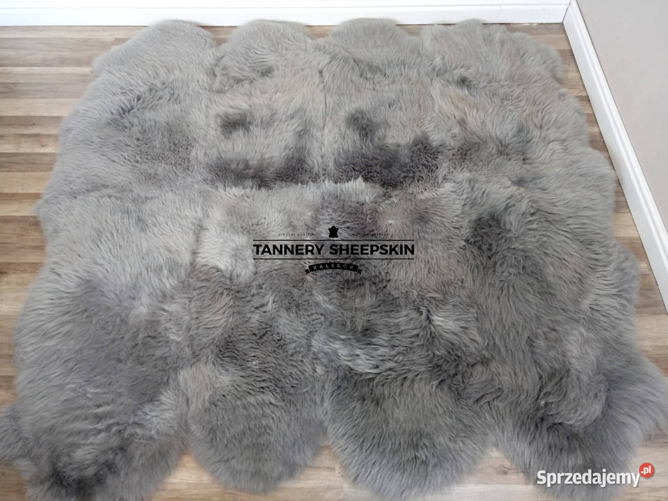 Dywan Skóra Owcza Naturalna Szara XXL Skóry małopolskie Szaflary