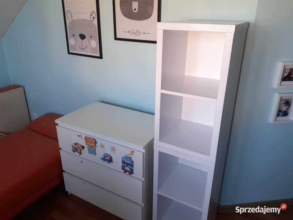 Wynajme do z ogrodem 1 marca bliźniak Nowy Sącz