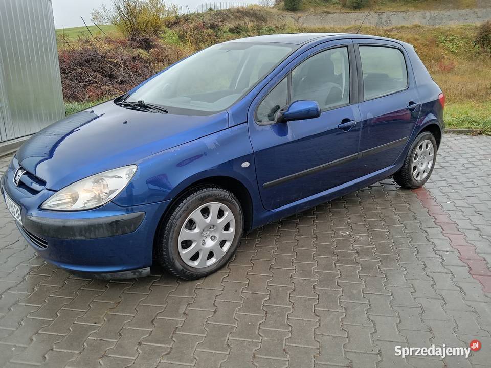Peugeot 307 16 164 Przebiegu Grybów