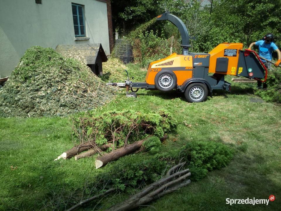 Usuwanie starych niebezpiecznych drzew skracanie małopolskie Skawina