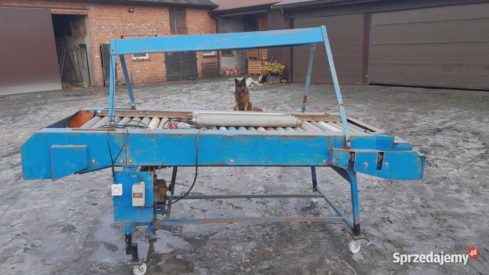 Stół selekcyjny rolkowy przebierczy Pozostałe Błaszki sprzedam