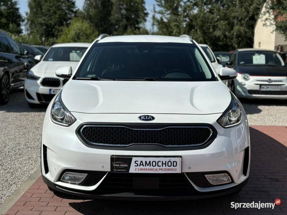 Kia Niro Gwarancja Salon Polska Wypas Hybryda Zarejestrowany w Polsce Sade Budy sprzedam