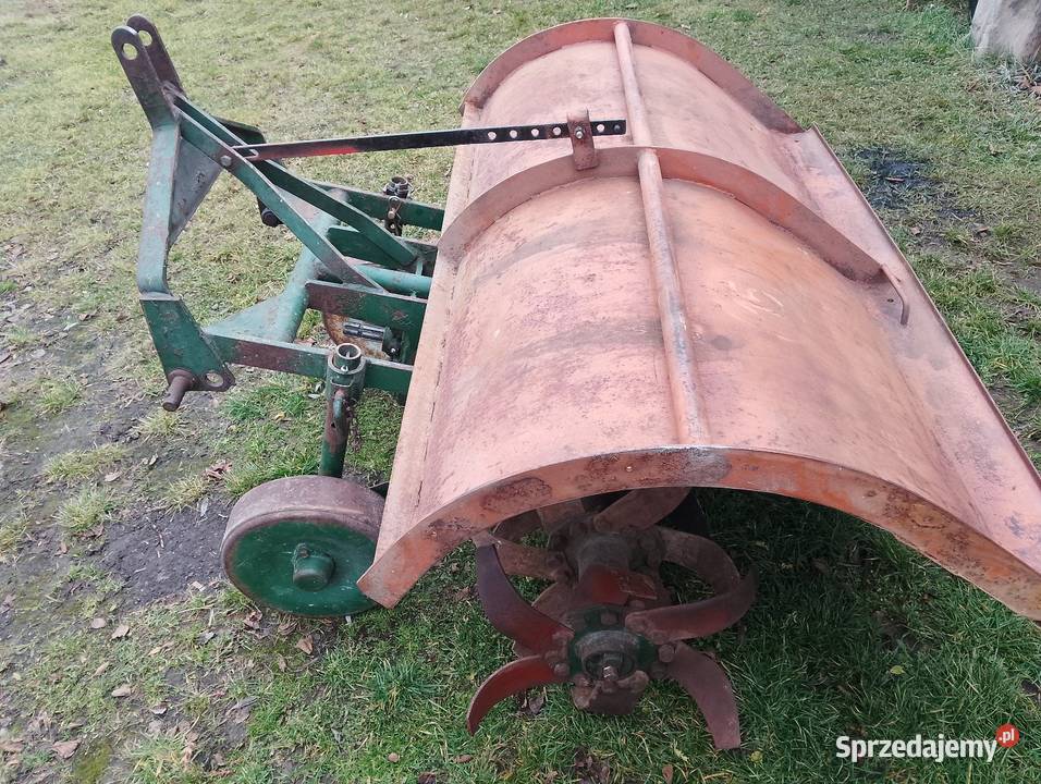 Glebogryzarka lubelskie