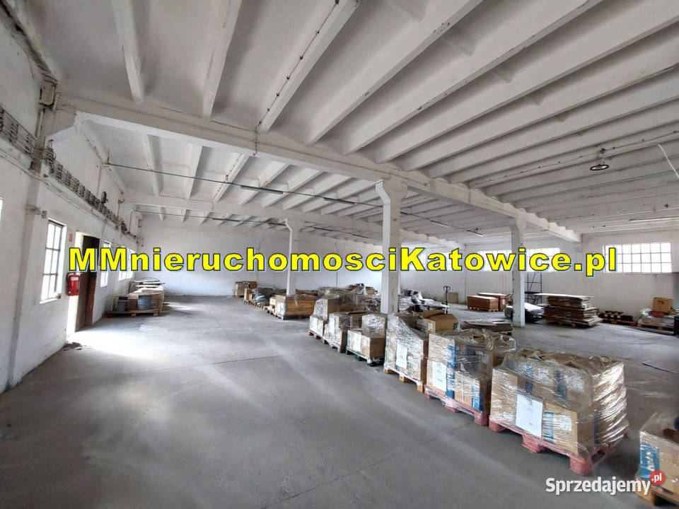 Magazyn do wynajęcia w Katowicach 423 m2 rampa 2