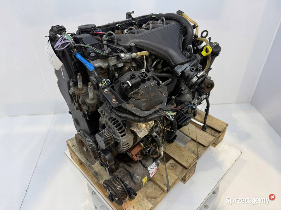 SILNIK G6DD Ford C C Focus MK2 20 TDCI 136 Chełm