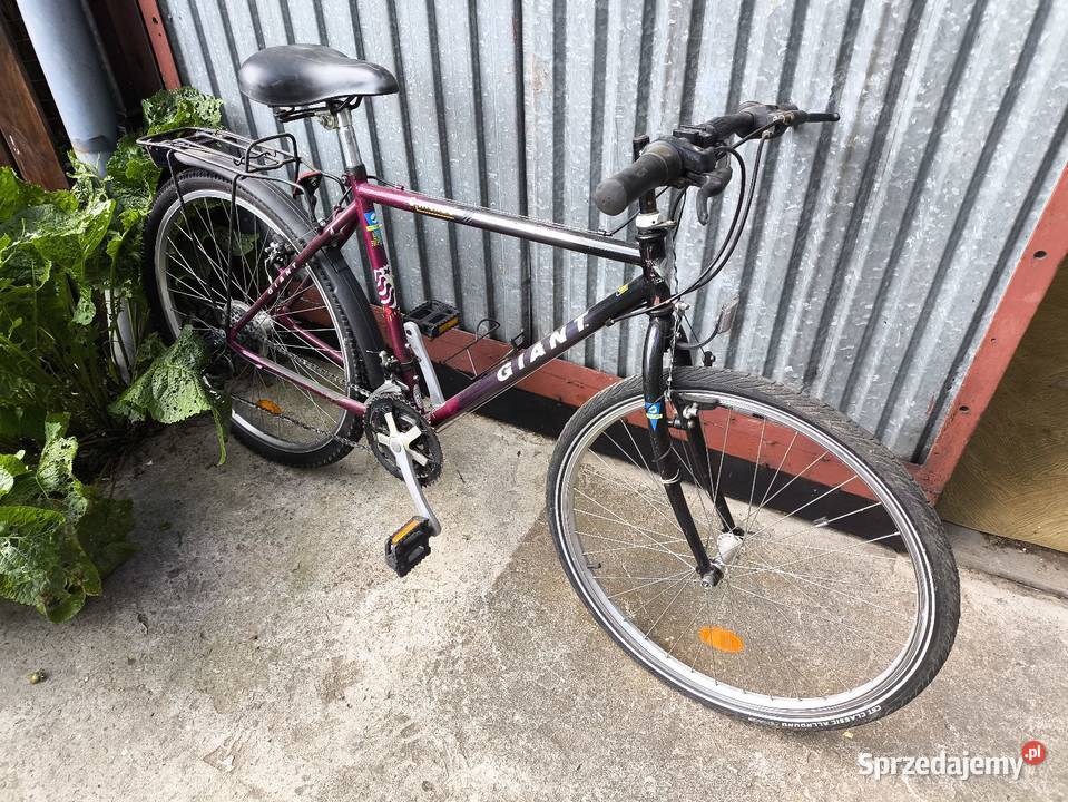 Rower Giant Chicago 26 Wolbrom