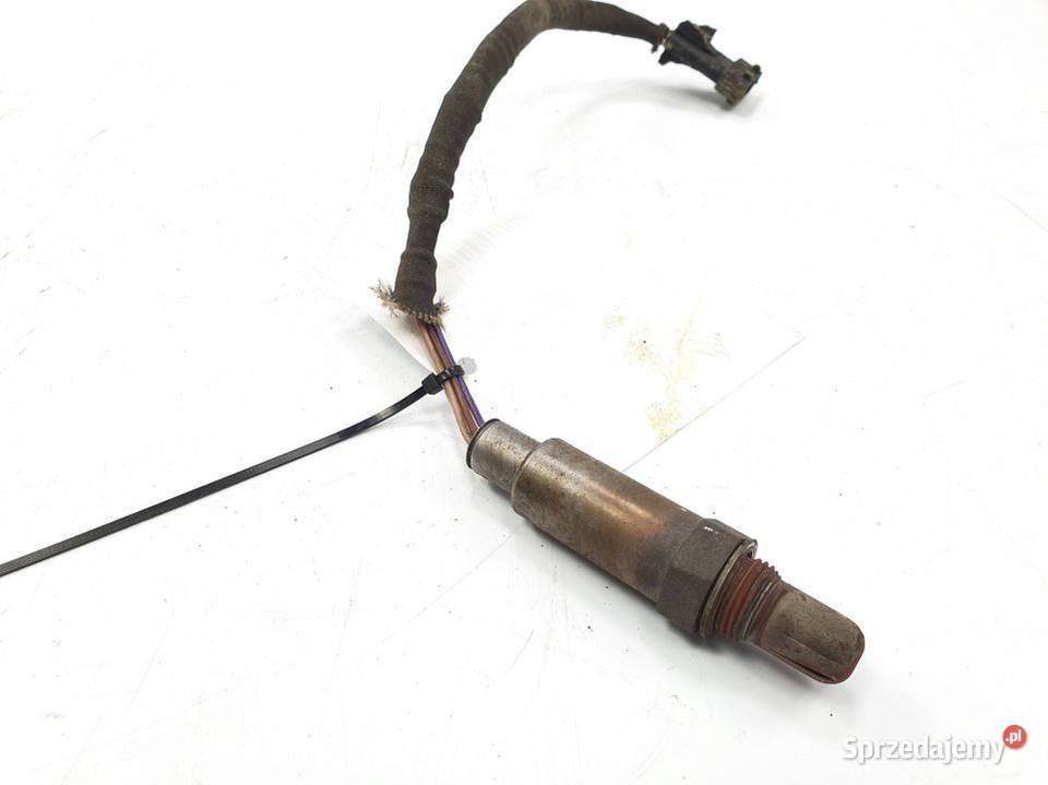 SONDA CITROEN XSARA AFS 91 Lipno
