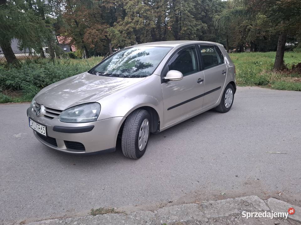 Vw golf 5 ładny doinwestowany Golf Ząbkowice Śląskie