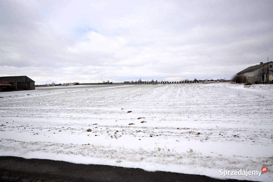 Grunt Janówek 2000m2 100m