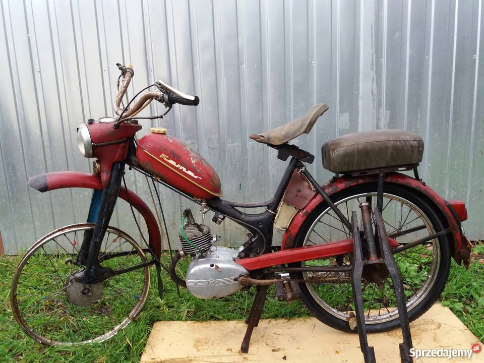 Komar sztywniak 1967 Poznań