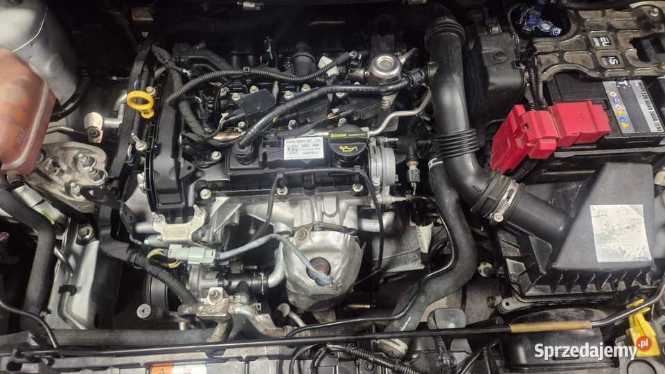 Ford Fiesta MK7 10 Ecoboost 2013r 1000cm3 Fiesta Pleszew