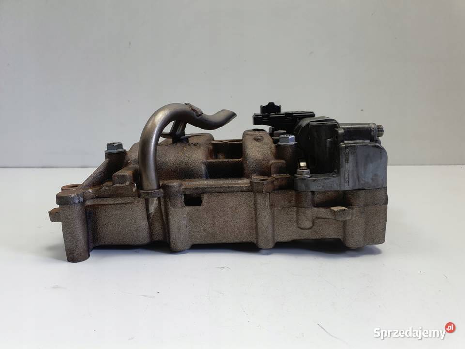 VW Passat B6 20 TDI POMPA OLEJU Olejowa lubelskie Chełm