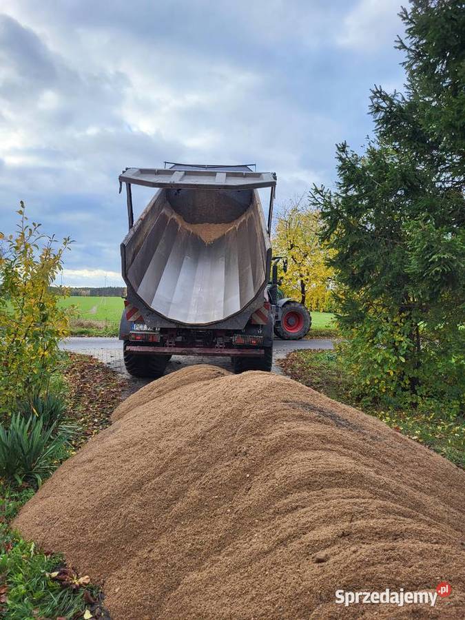 Świadczymy usługi sprzętem budowlanym Piła