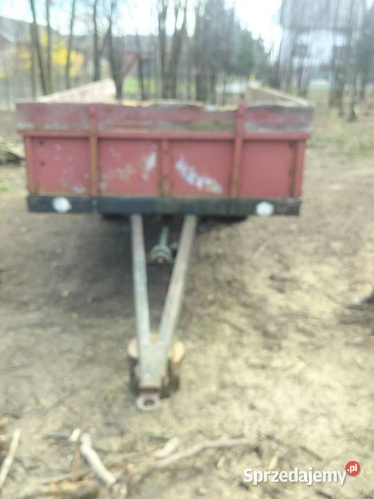 Rozrzutnik Miłochniewice