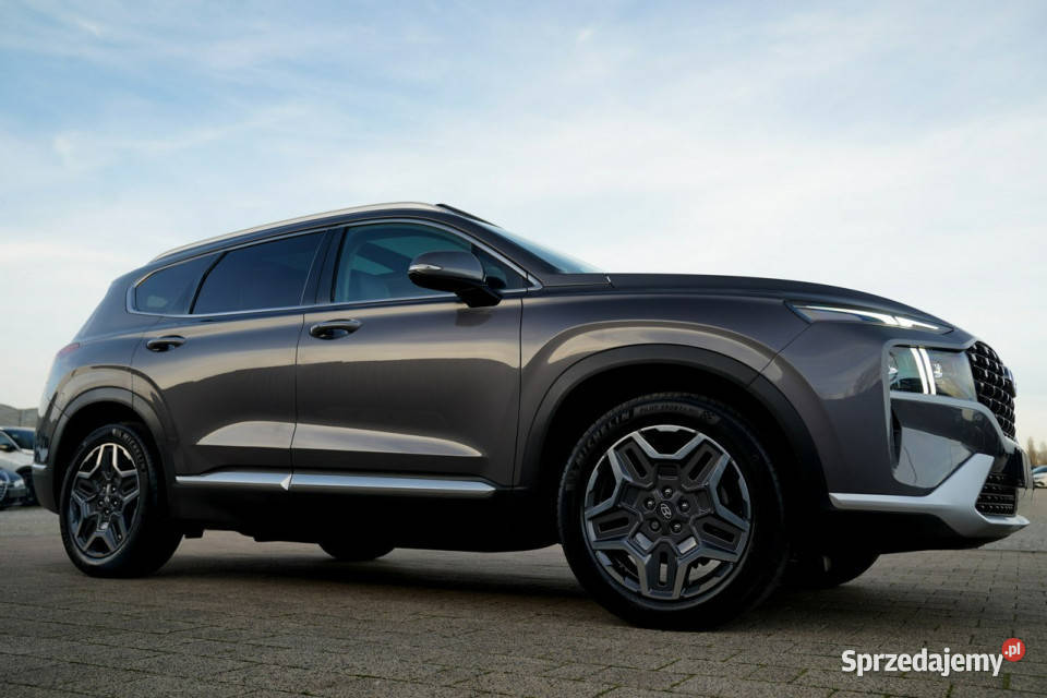 Hyundai Santa Fe FUL LED panorama skóra kamery światła przeciwmgielne opolskie
