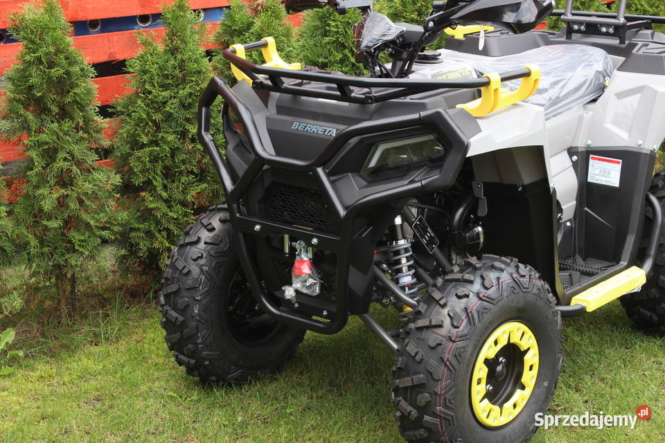 Quad 200 250 cc 4t Hammer Shinerau Bashan zachodniopomorskie Goleniów sprzedam