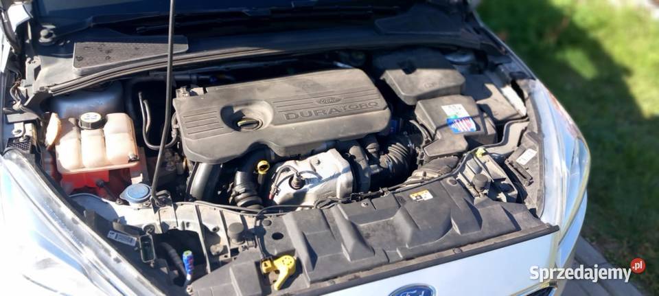 Ford Focus mk3 15 TDCi Trend nieuszkodzony Wąbrzeźno