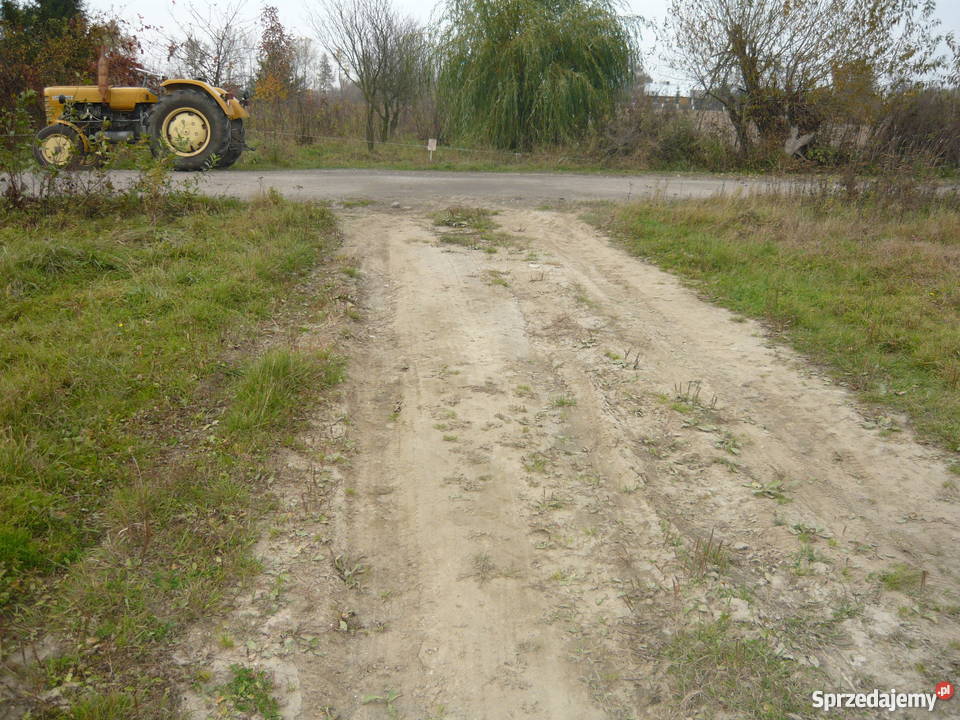 Siedlisko między Szydłowcem a Orońskiem siatka Domy Świniów