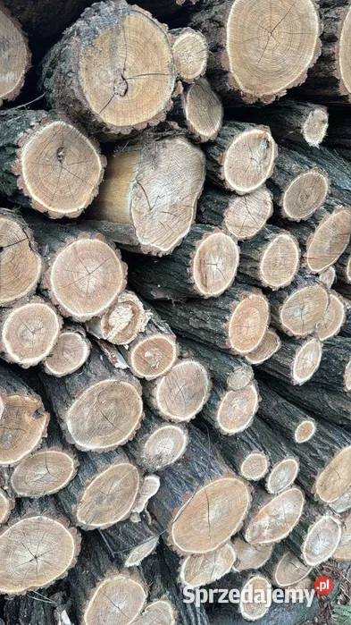 Drewno do wędzenia kominkowe opałowe Dąb dębowe Pozostałe Łódź sprzedam