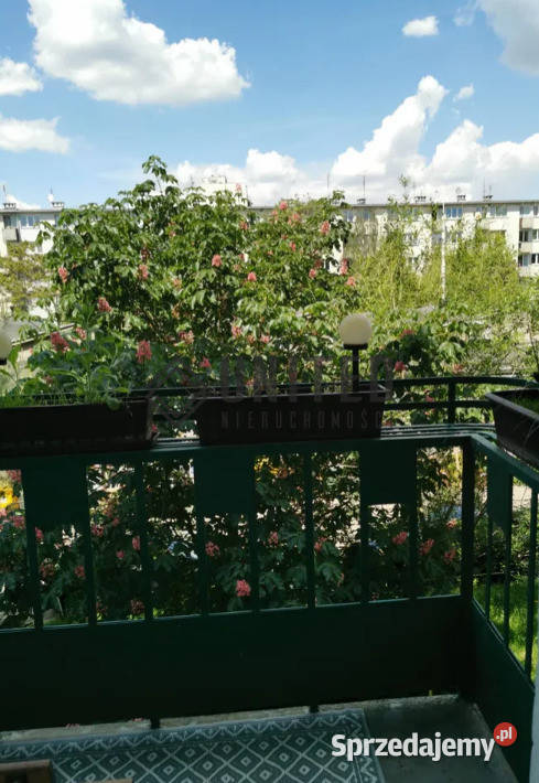 ulicy Inżynierskiej Wrocław sprzedam