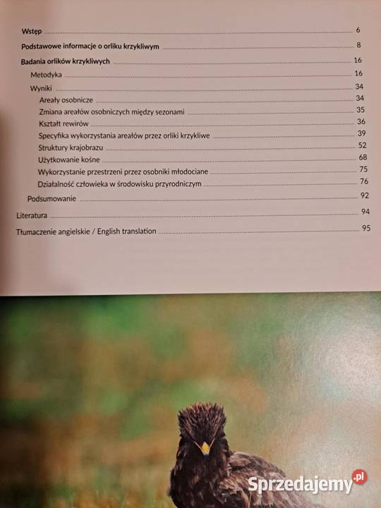 Orlik krzykliwy w krajobrazie Karpat 2016 Kraków sprzedam