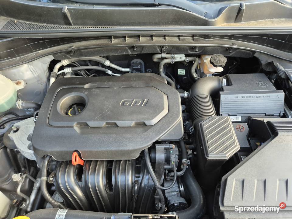 Sprzedam KIA SPORTAGE 24 GDI 184 2019r nieuszkodzony Sportage Leśniewo Dolne sprzedam