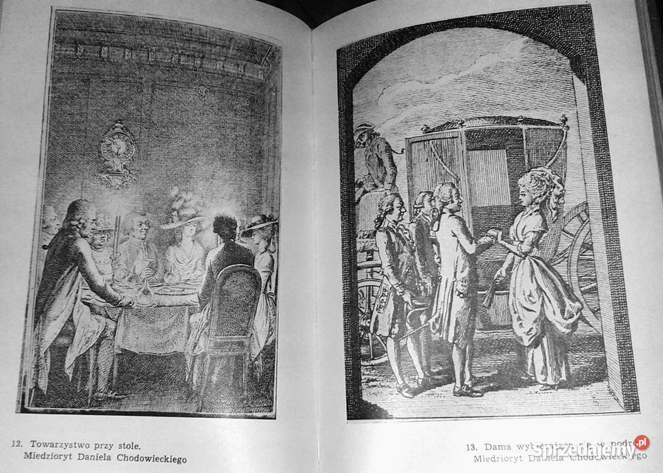 Pułkownikówna Józef Ignacy Kraszewski lubelskie Chełm sprzedam