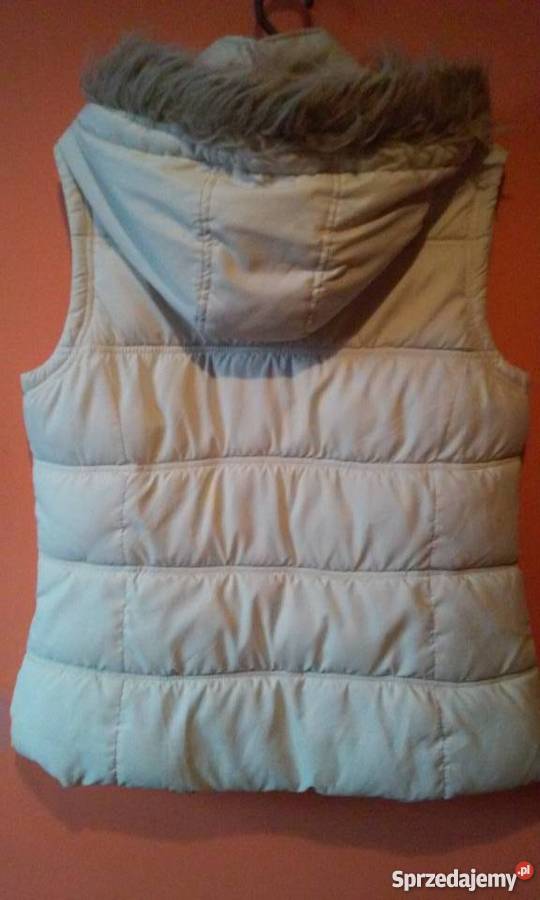 Bezrękawnik jasny Pozostałe zachodniopomorskie Szczecin