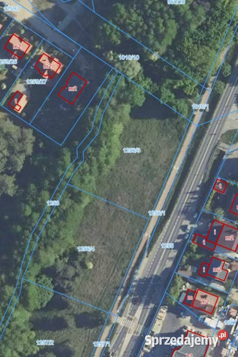 Murowana Goślina Działka 5913 m Usługi Zabudowa wielkopolskie