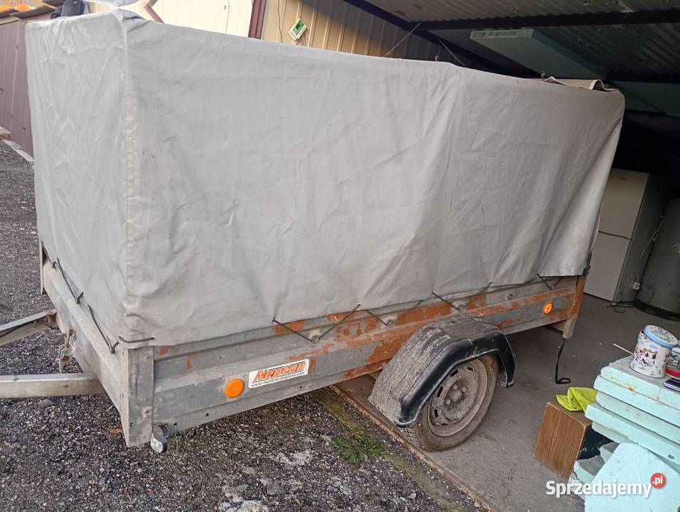 PRZYEPKA NEPTUN LEEKA Neptun Zabrze sprzedam