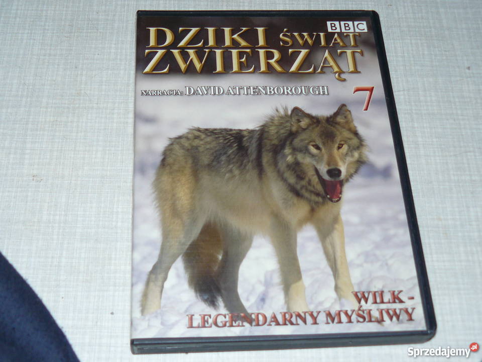 Płyty DvD świat zwierząt na jesienne wieczory dokument lubuskie Nowa Sól