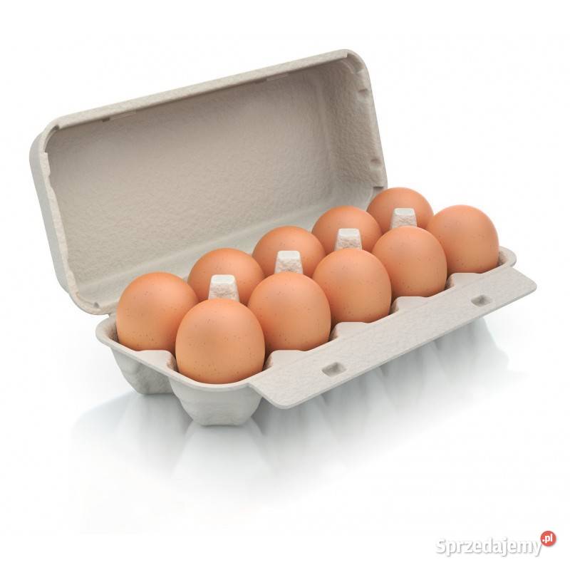 Sprzedam świeże jajka kurze z własnego chowu Załuż sprzedam