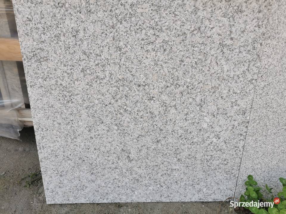 Granit G602 G603 60x60x15 poler Przemyśl
