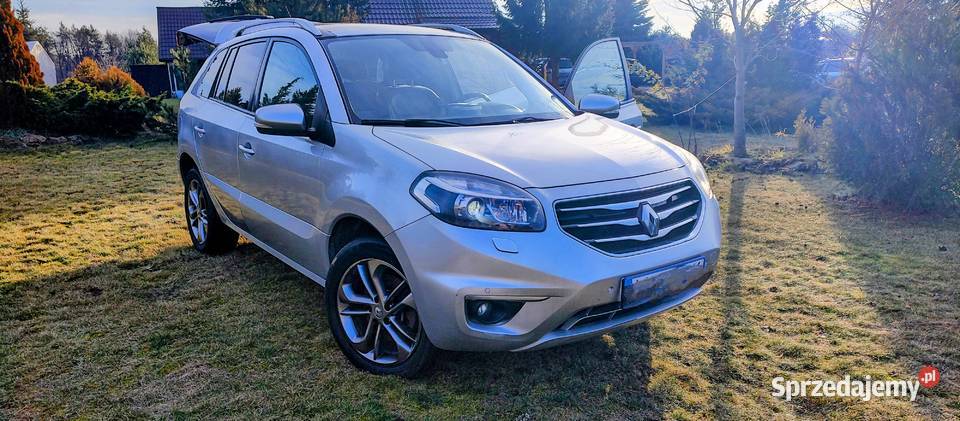 Renault Koleos I SUV Facelifting 20 dCi 177 Niedźwiada