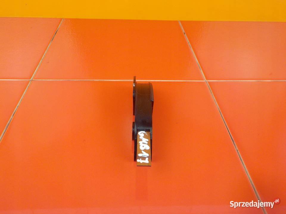 FORD TRANSIT MK7 22 TDCI 10r 86 P8FA prowadnica Rozrząd Suków