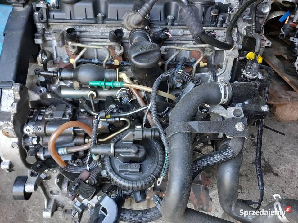 Silnik 20 HDI RHY 10DYSA Citroen Peugeot Strzelce Krajeńskie