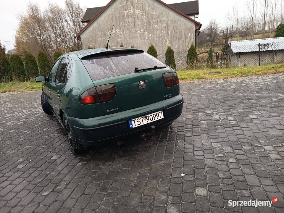 Seta Leon 1 Bodzentyn