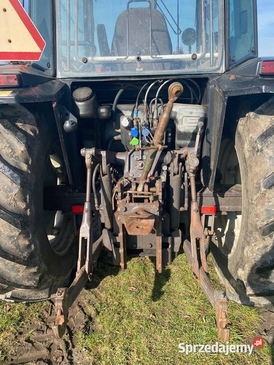 Massey Ferguson 3050 z ładowaczem czołowym wielkopolskie Kobierno